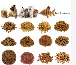 [1011] خط تولید غذای سگ و گربه
