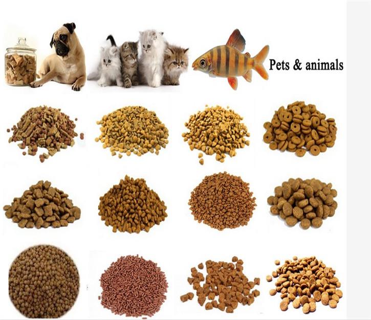 خط تولید غذای خشک حیوانات